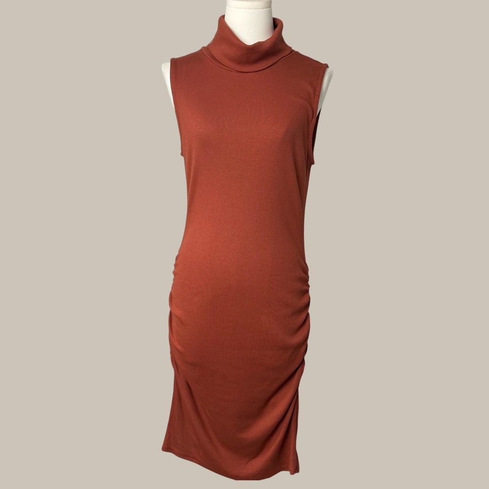 Michael Stars Dress L‎ Brown Macy Ultra Rib Ruched Turtleneck Pullover Bodycon